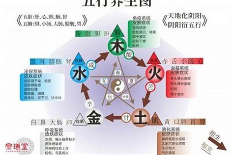 屬土的人缺水|五行缺水怎么辦？妙招幫你補足